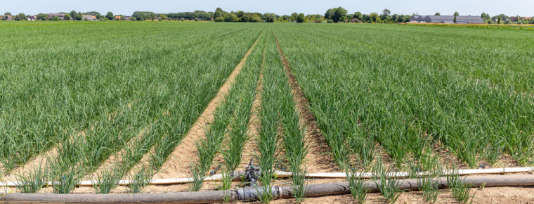 Fertigatiebeurs Biddinghuizen